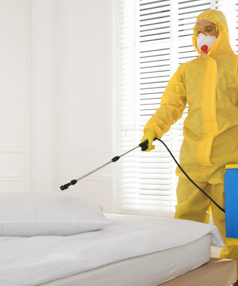 Professional Pest Control Team in Clarence Gardens